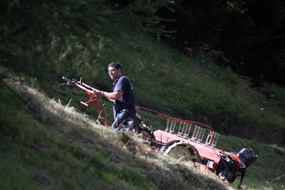Eine Person bedient ein kleines Mähgerät auf einem grasbewachsenen Hügel, umgeben von üppigem Grün und Sonnenlicht, das durch die Bäume fällt.