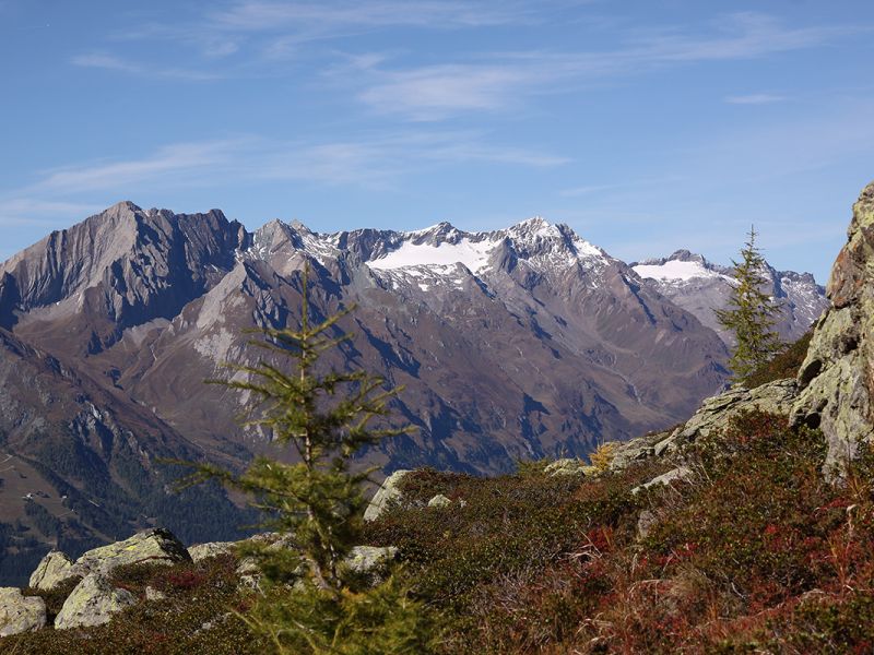 Ein Panoramablick auf zerklüftete Berge mit Schneeflecken unter einem klaren blauen Himmel, umrahmt von grünen Sträuchern und felsigem Gelände.