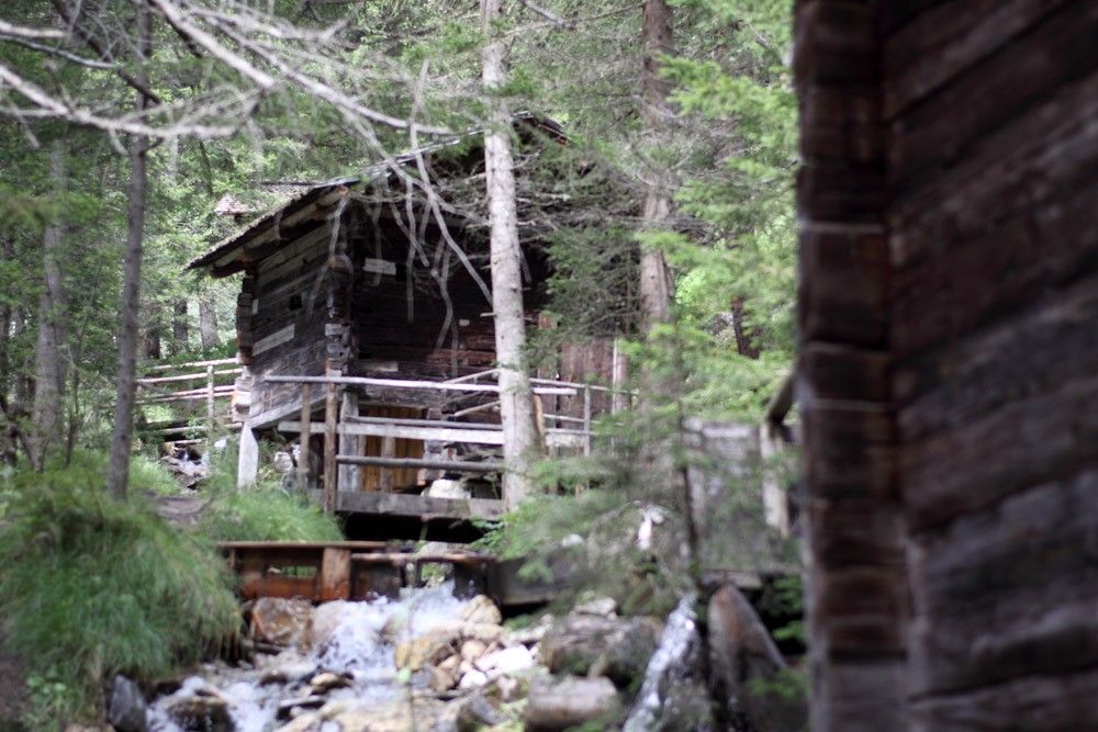 Eine rustikale Holzhütte, eingebettet in einen üppigen Wald, neben einem sanften Bach, umgeben von hohen Bäumen und grünem Laub.