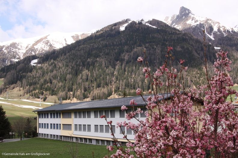 Ein modernes Gebäude, eingebettet in ein Tal, umrahmt von schneebedeckten Bergen und blühenden rosa Blumen im Vordergrund.
