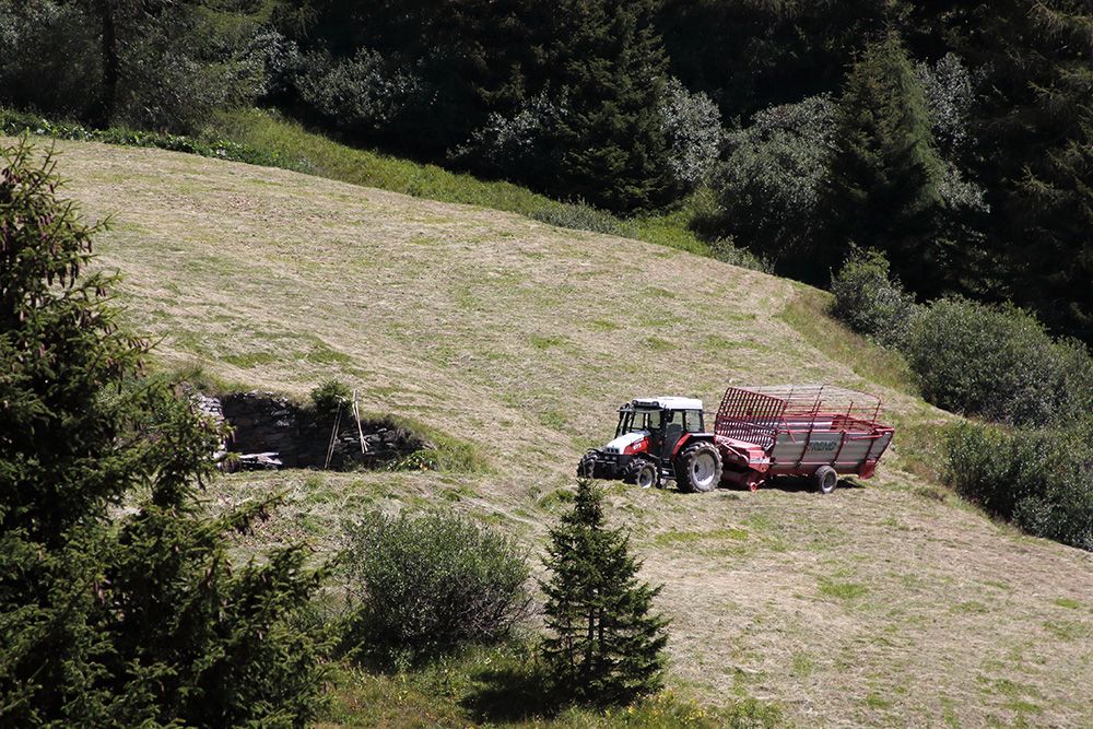 Ein rot-weißer Traktor mit einem Heuwagen arbeitet an einem sonnigen Tag auf einem üppigen, grünen, von Bäumen umgebenen Feld.